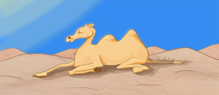 Camel